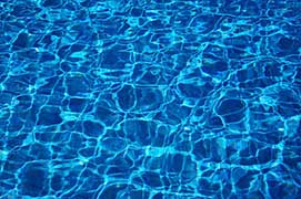 Want To Be Healthier And Live Longer? Adopt A Blue Zone Community Mindset Want To Be Healthier And Live Longer? Adopt A Blue Zone Community Mindset