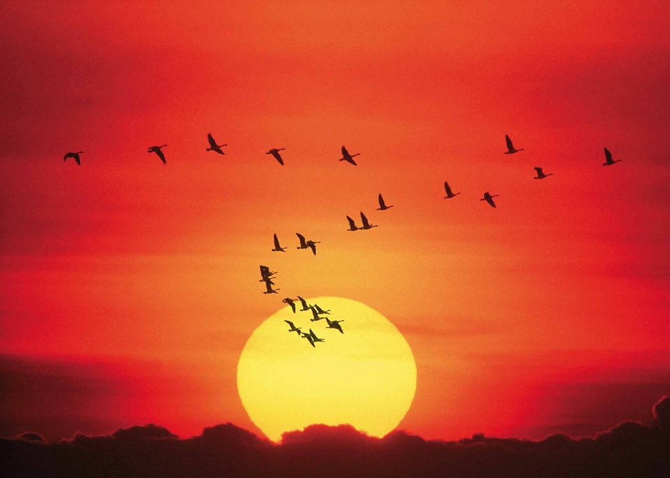 Why is Spirituality Correlated With Life Satisfaction? Why is Spirituality Correlated With Life Satisfaction?